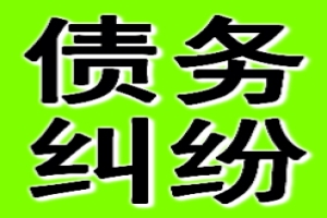 债务纠纷处理服务